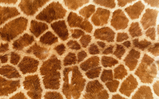 448838 (a): :1920x1200